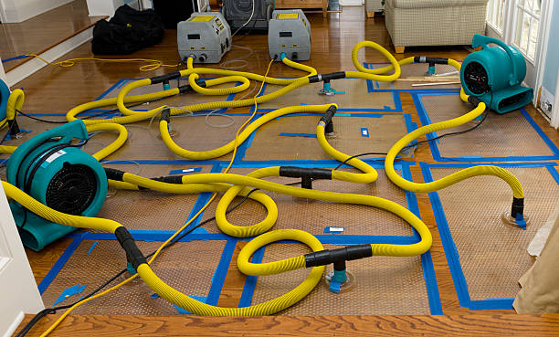 Professional Water Damage Repair technician working in Cleveland, OH